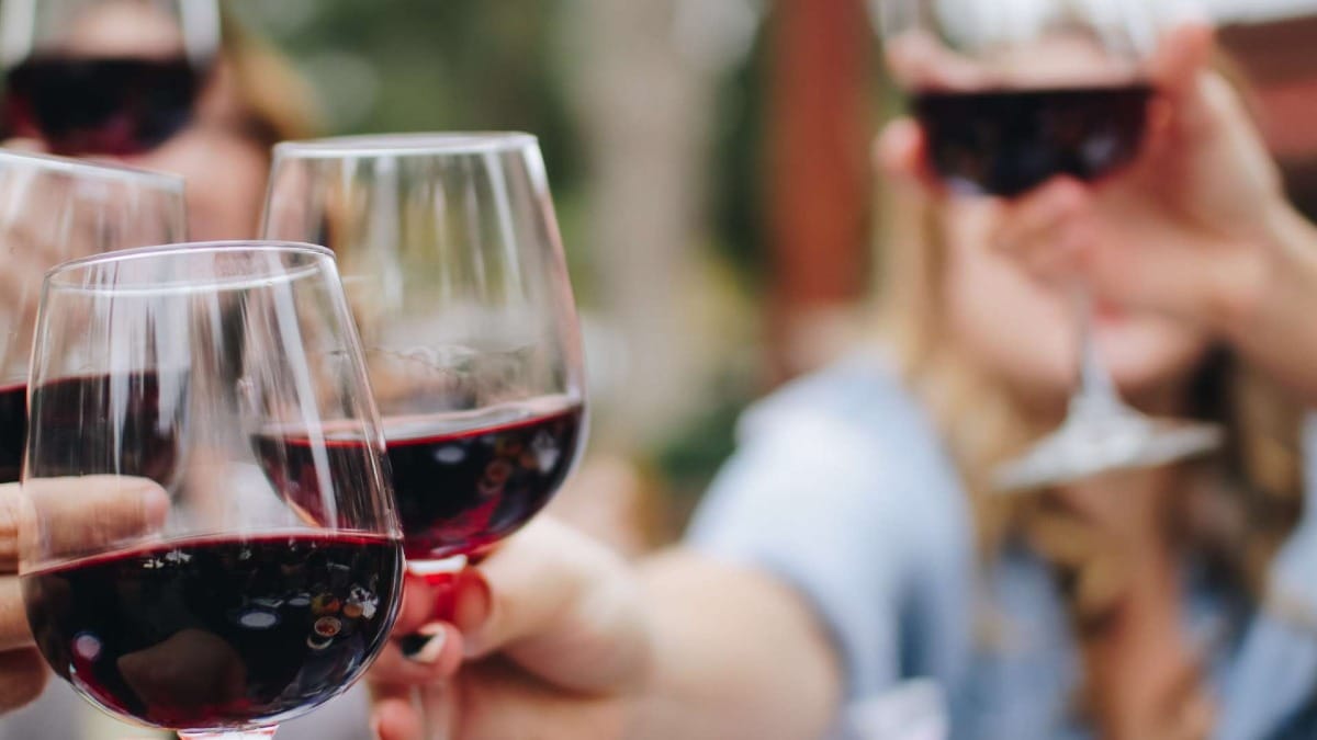Group of guests toasting with red wine glasses during a Faro food and wine tour