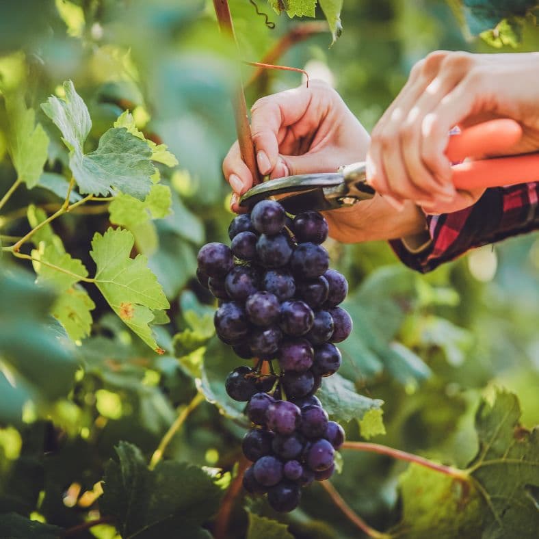 Responsible Tourism supports the local economy