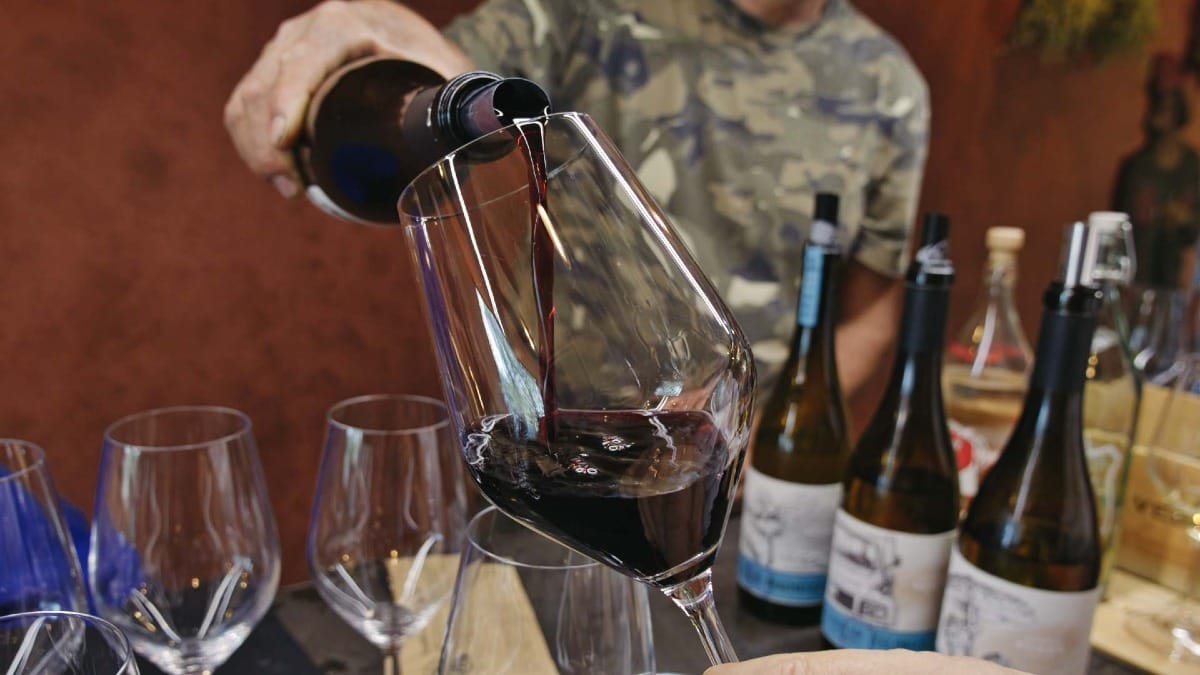 Tasting begins with a pour ā premium Douro wines on your private tour