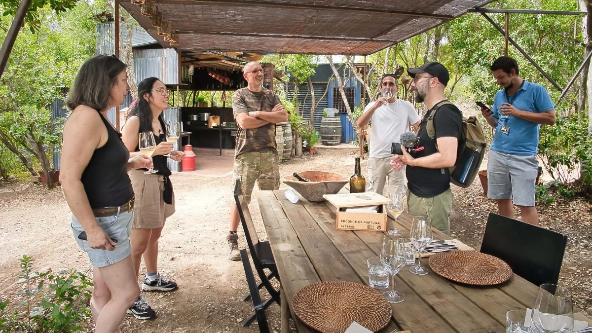 Sampling local white wines and olive oil in the Douro Valley