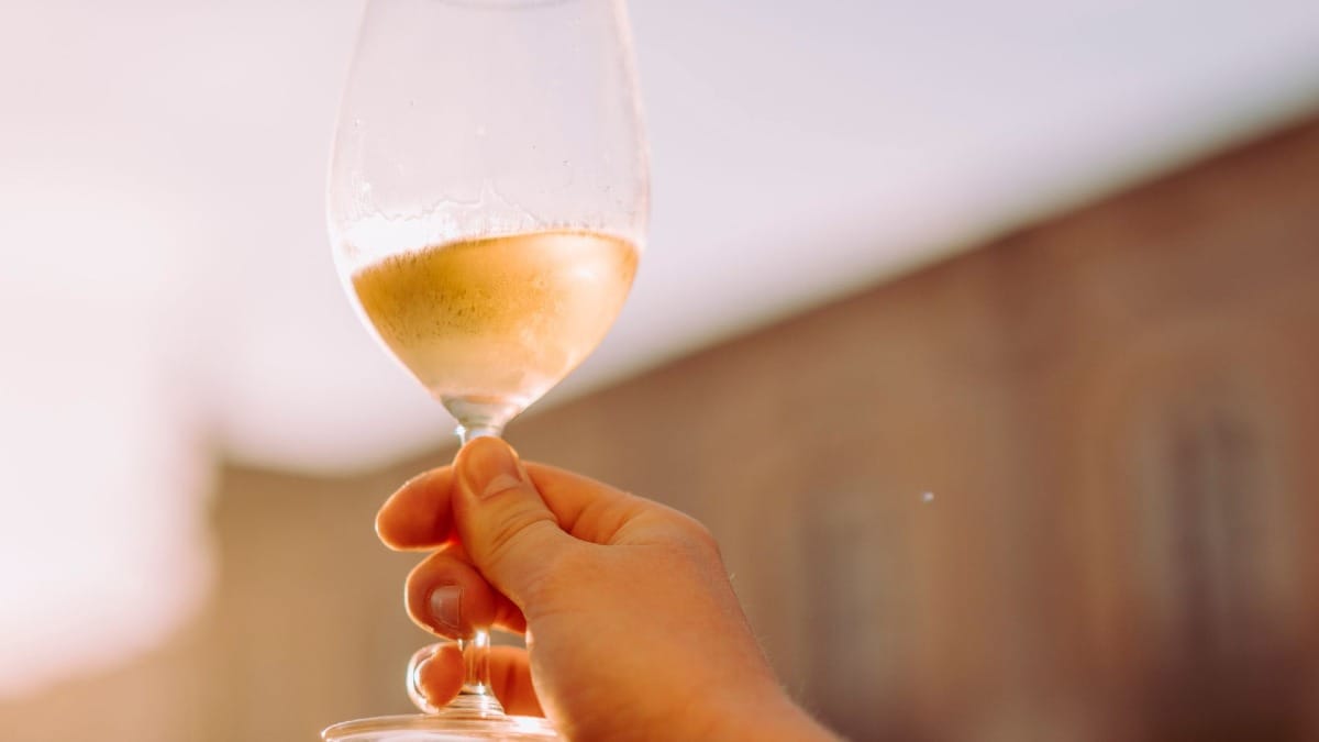 Glass of Algarve white wine held up to the sunlight during a food and wine tour in Faro