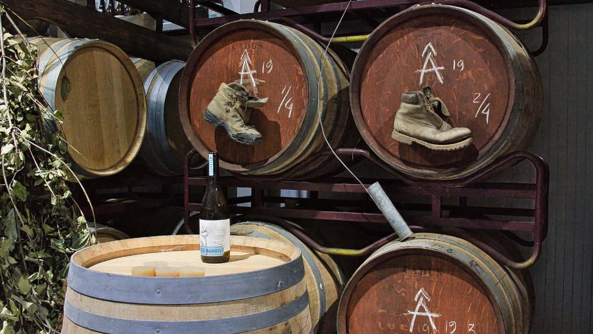 Aged barrels and rustic charm at Alto da Serra winery