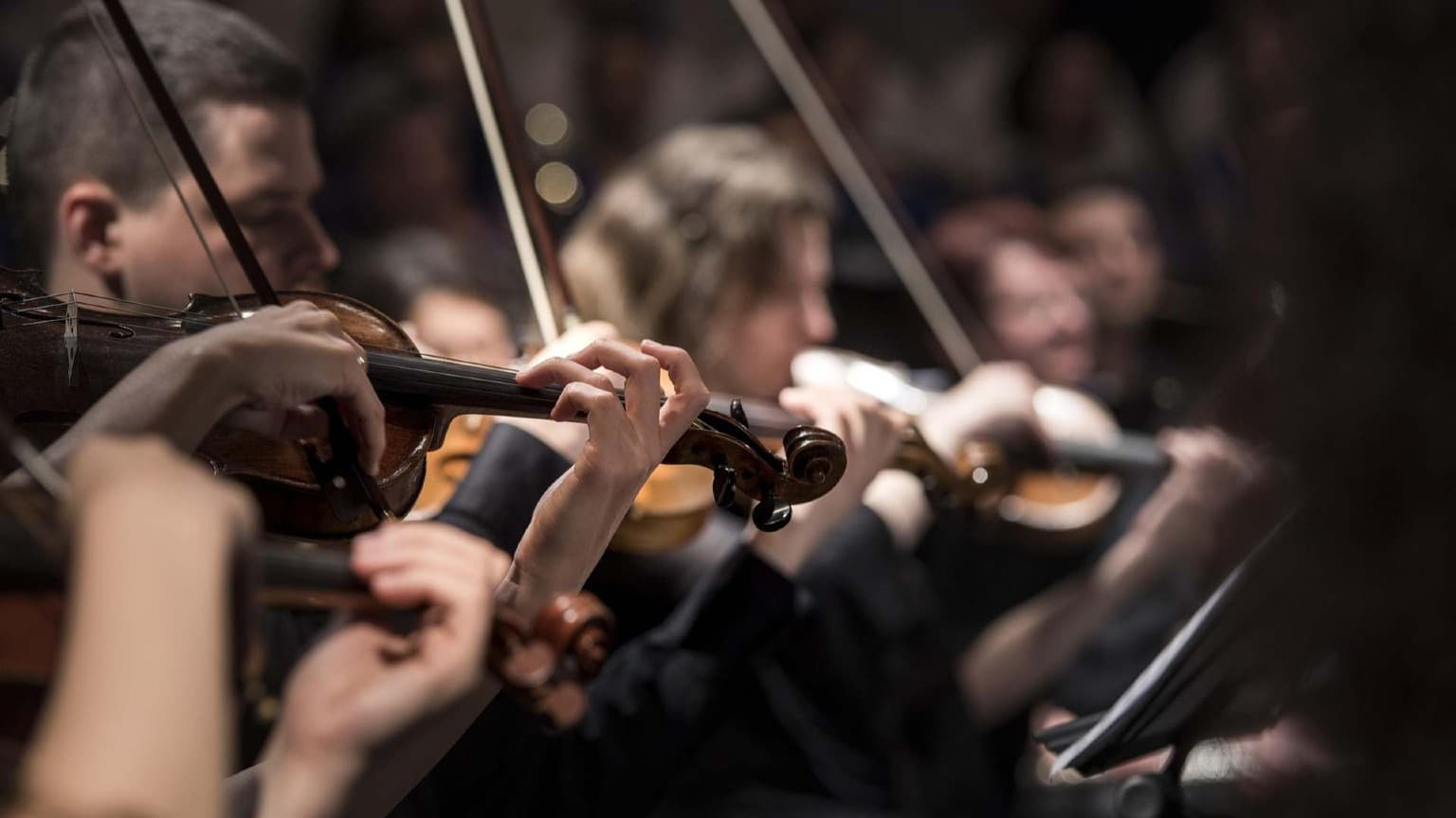 Musicians performing a live orchestral concert, similar to the free Christmas shows held on Avenida dos Aliados in Porto
