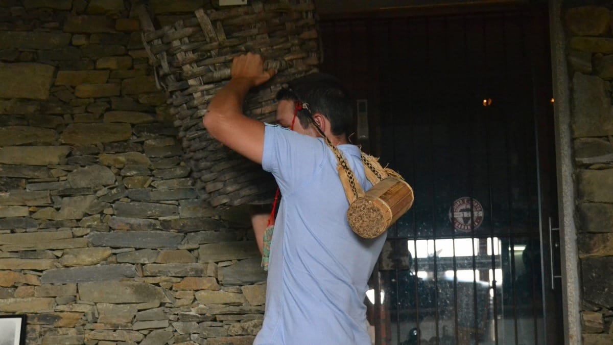 Tour guiado pelo Vale do Douro a partir do Porto com a Cooltour Oporto