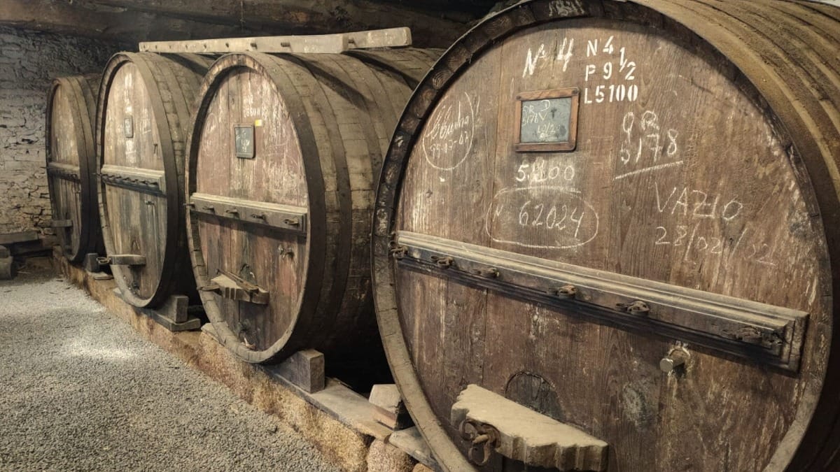 Barriles antiguos de Vino de Oporto en la Quinta dos Castelares durante un tour guiado por el Valle del Duero desde Oporto con Cooltour Oporto