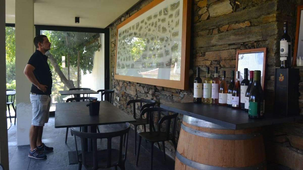 Salle de dégustation de la Quinta dos Avidagos dans la Vallée du Douro