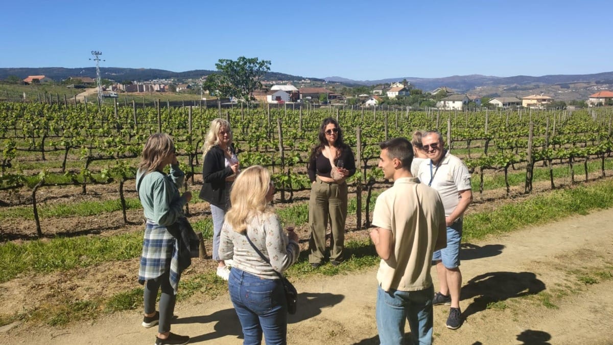 Visitantes caminhando pelos vinhedos da Quinta do Portal antes de uma degustação de vinhos durante um tour guiado pelo Vale do Douro a partir do Porto com a Cooltour Oporto