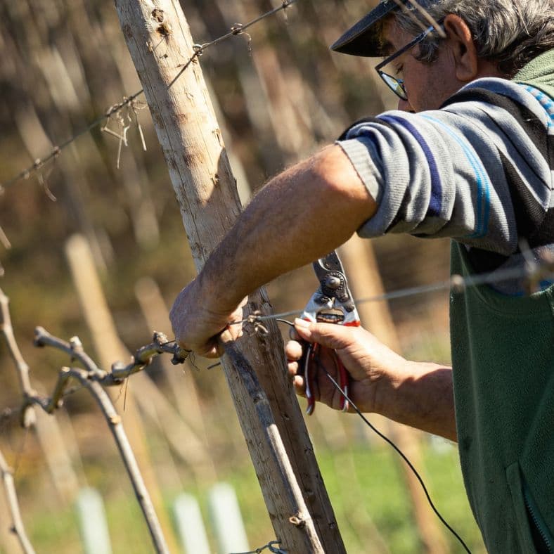Support local businesses in Porto with our Porto Eco Tours