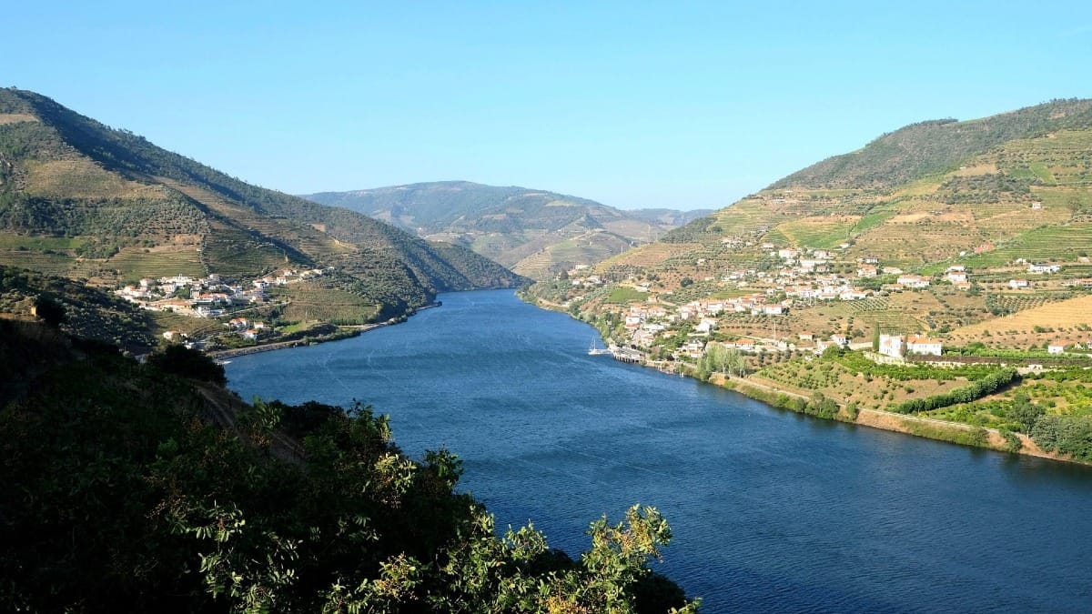 Rio Douro fluindo entre colinas de vinhedos no Vale do Douro, Património Mundial da UNESCO, durante um tour guiado de vinhos com a Cooltour Oporto