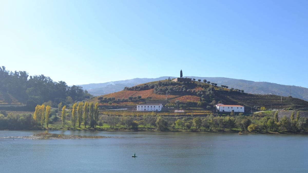 Rio Douro e céu azul passando por Régua, a capital do Vale do Douro, durante um tour guiado de vinhos com a Cooltour Oporto