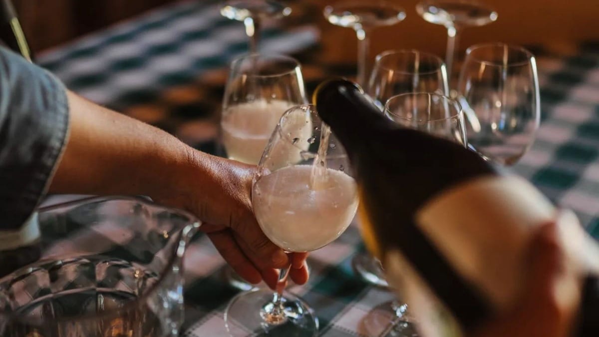 Dégustation de vinho verde dans une quinta locale | Cooltour Oporto