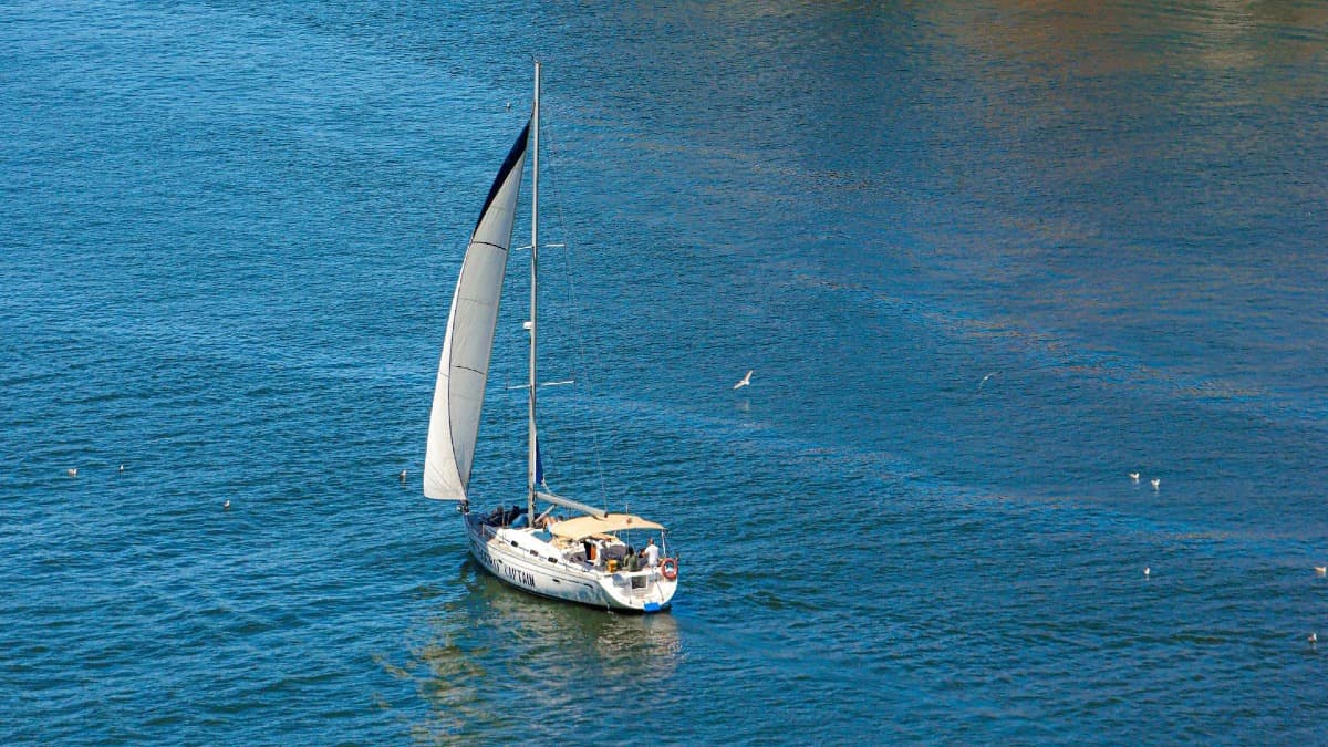 Croisière en Voilier à Porto sur le Douro