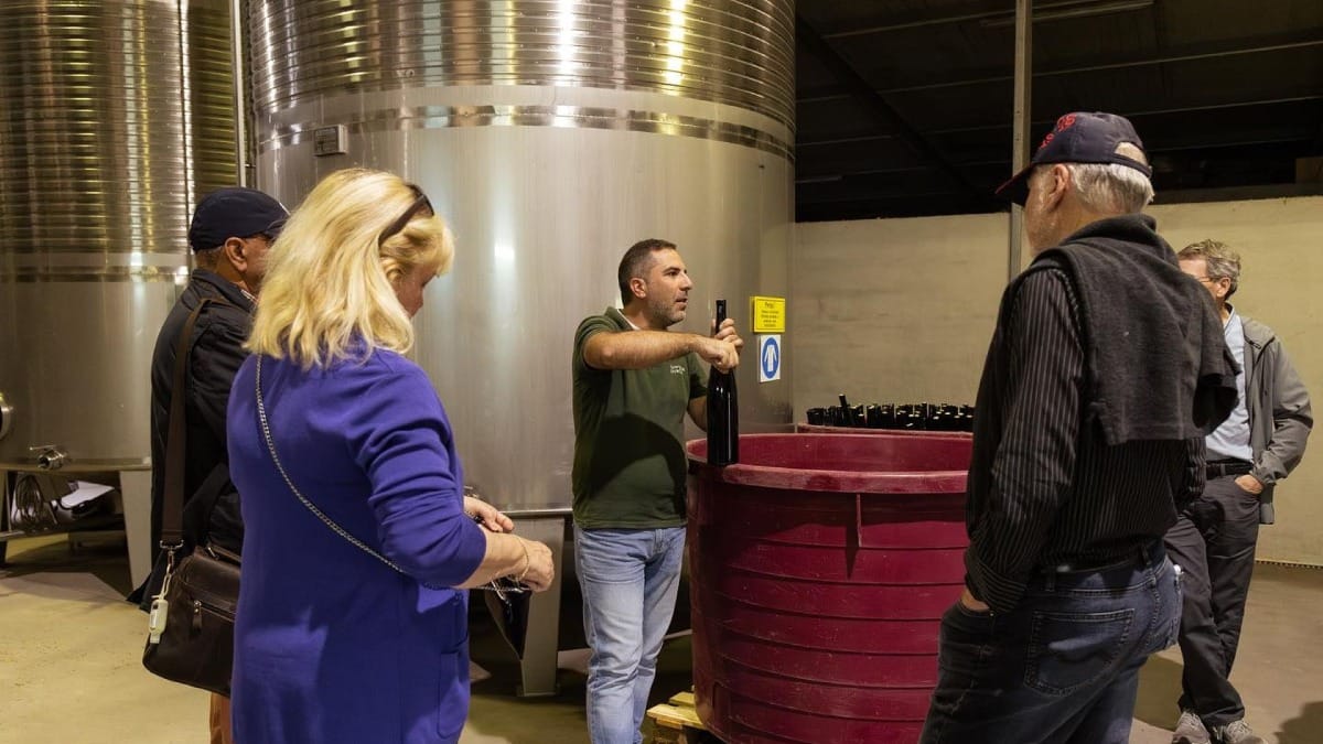 Visite de la zone de production du Vinho Verde dans l'une des quintas à visiter | Cooltour Oporto