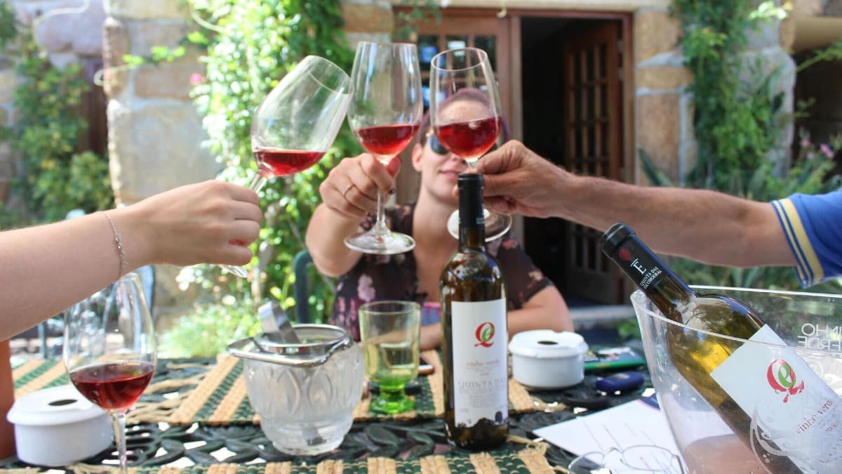 À partir de Porto: Excursion privée dans le Vinho Verde