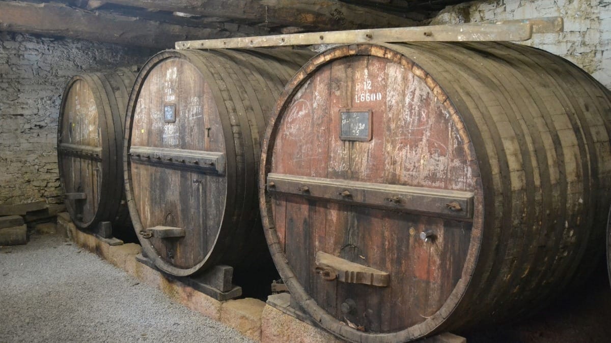 Barriques de vin de Porto Tawny pendant une excursion dans la Vallée du Douro au Portugal