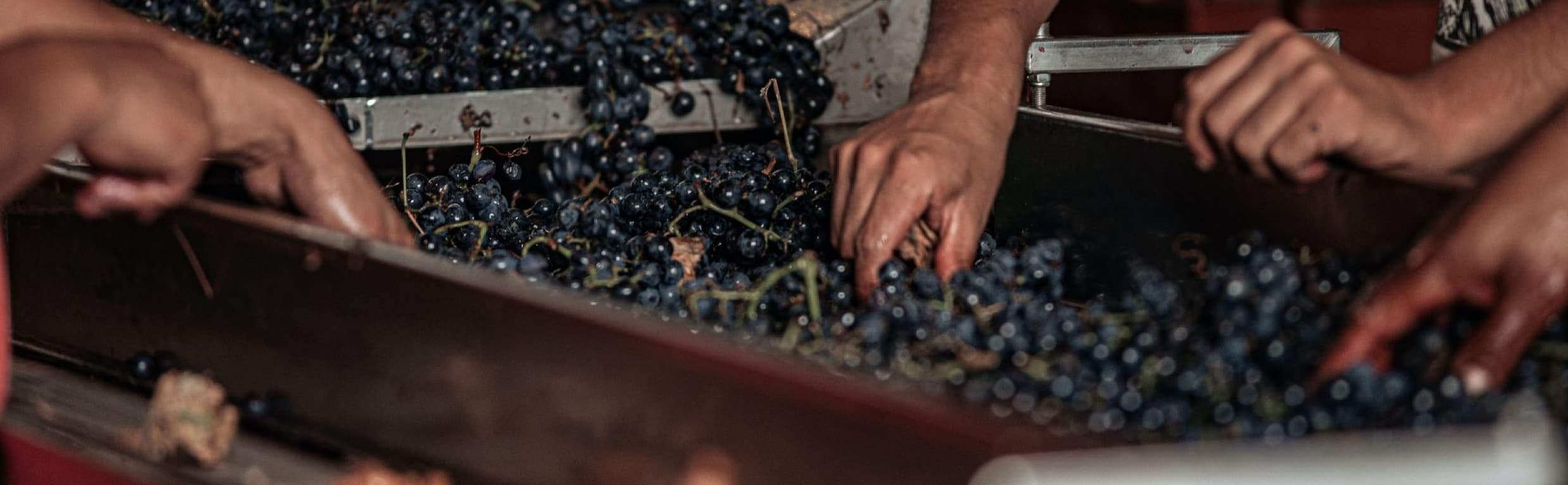 Ih1S 01HQRNKXVSWFKP69K7ADVH8FQ4