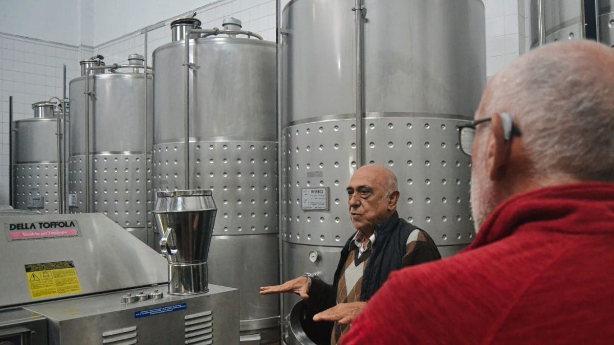 Visite de la citerne de production du Vinho Verde | Cooltour Oporto