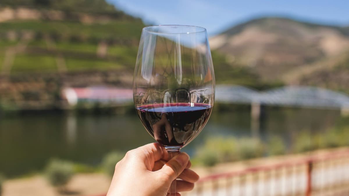 Tour a tres fincas del Valle del Duero