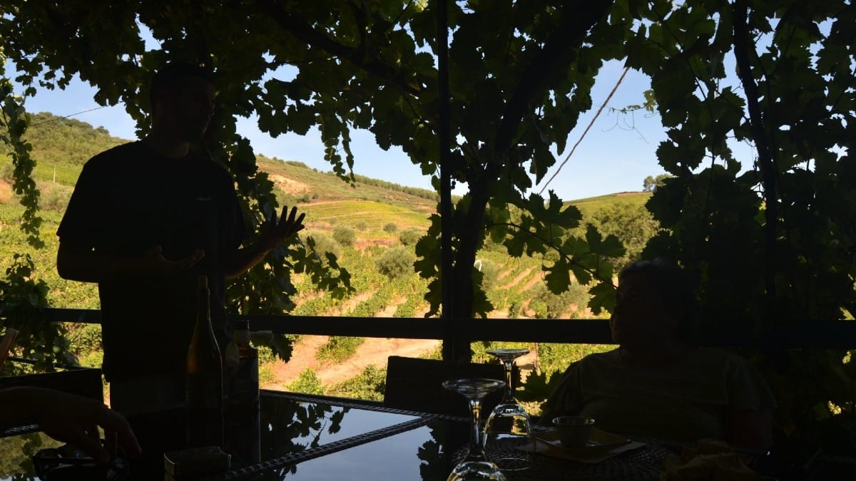 Wine visit and tasting experience in the Douro Valley