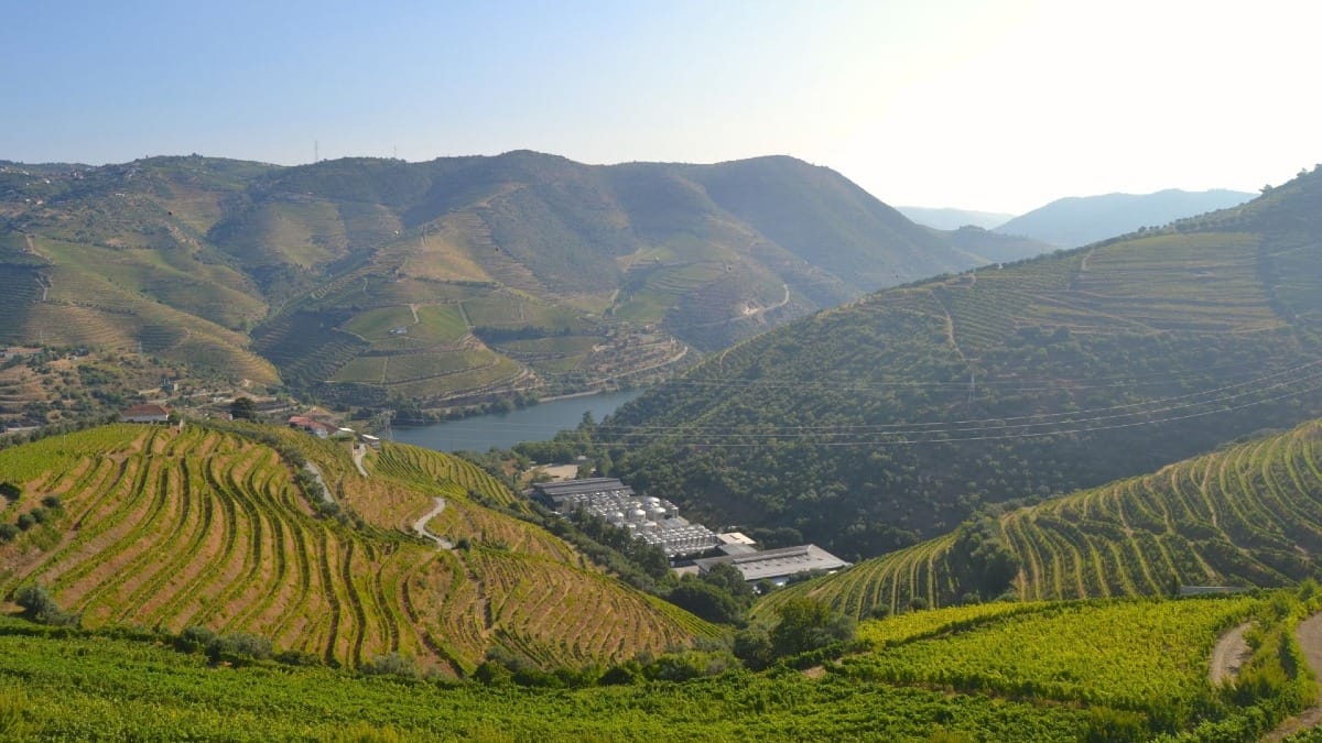Vue sur la Vallée du Douro depuis une cave familiale