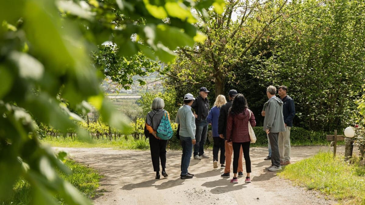 Visita a uma Quinta na Região dos Vinhos Verdes | Cooltour Oporto