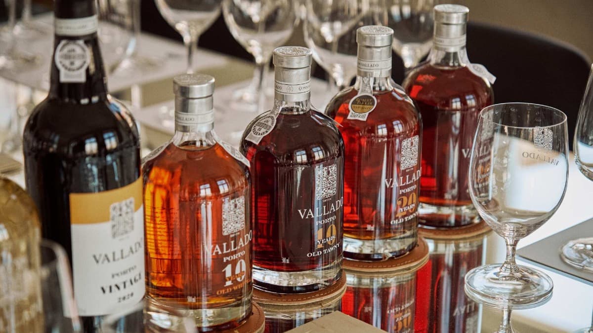 Wine Tasting in Porto: Quinta do Vallado Tasting Room