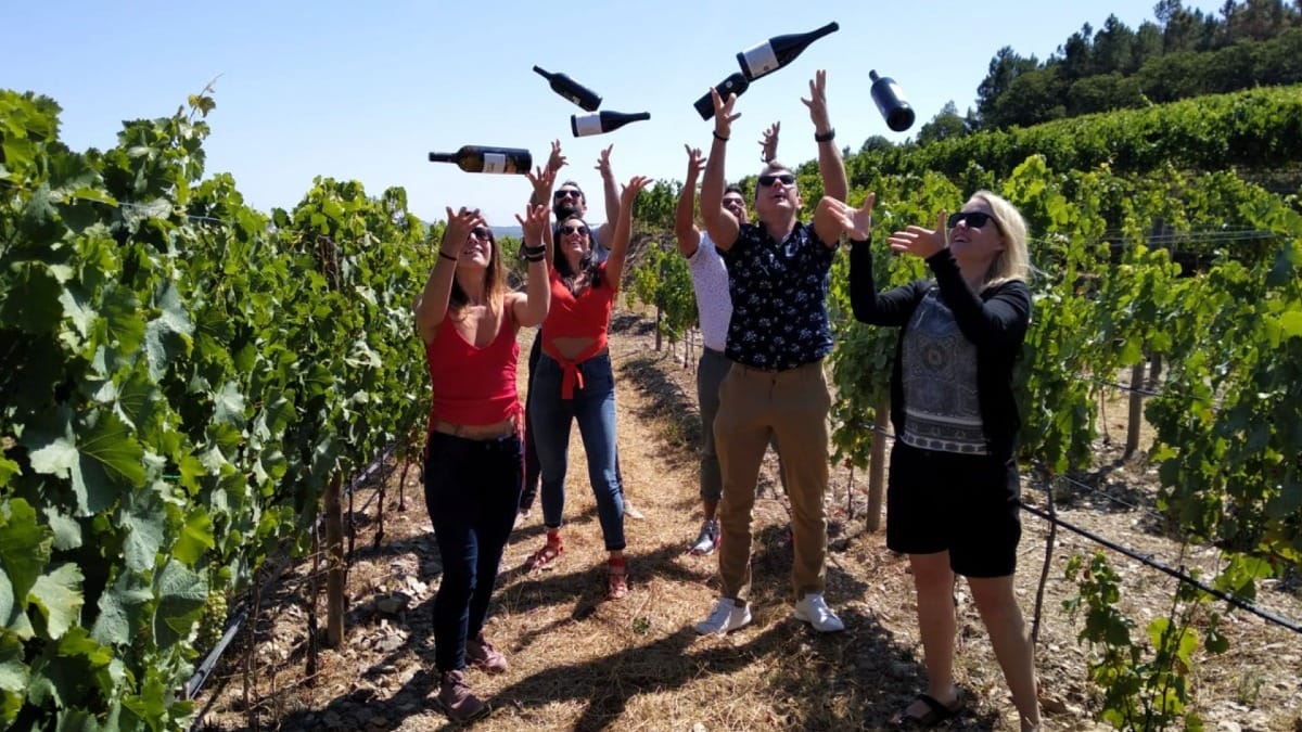 Visiting wineries and vineyards in small groups during a guided Douro Valley Wine Tour from Porto with Cooltour Oporto