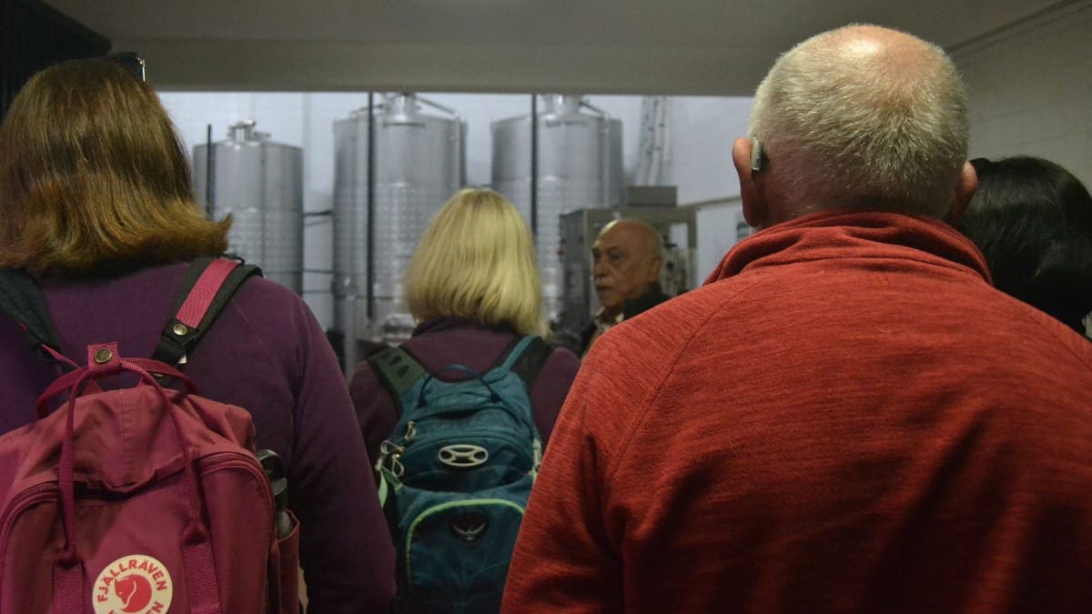 Visita com guia à áreas de produção de Vinho Verde de uma Quinta | Cooltour Oporto