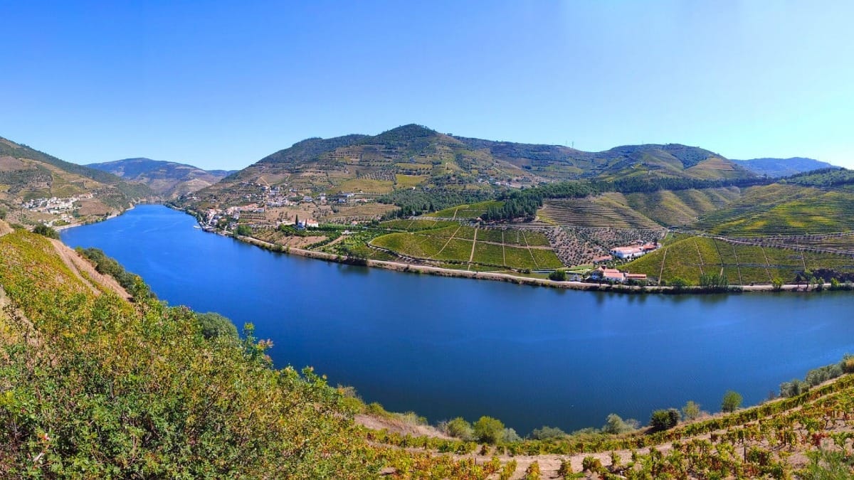 Douro River flowing through the valley vineyards