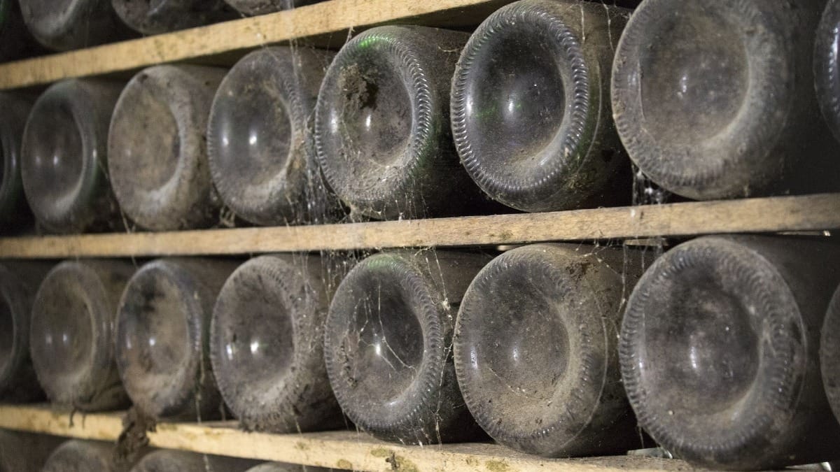 Garrafas de vinho do Porto Vintage numa visita a uma cave de vinho do Porto no nosso City Tour Privado no Porto | Cooltour Oporto