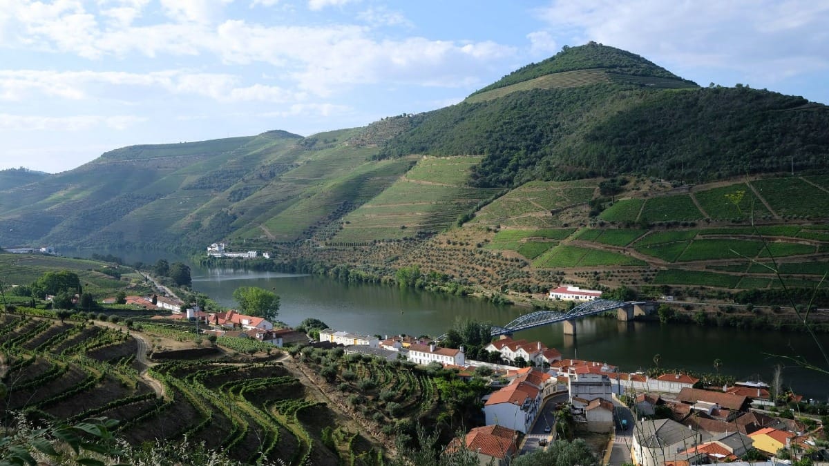 Vue panoramique sur la rive gauche de Pinhão et son vieux pont historique lors d'une visite guidée dans la Vallée du Douro avec Cooltour Oporto