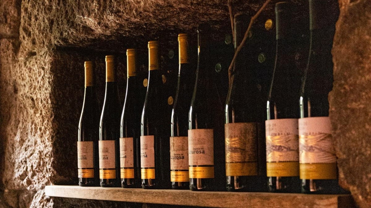 Présentoir de bouteilles de Vinho Verde | Cooltour Oporto