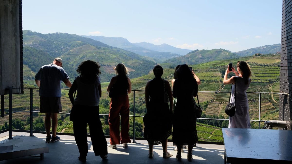 Degustação de vinhos com vista panorâmica para vinhedos e rio numa vinícola no Vale do Douro, Património Mundial da UNESCO, durante um tour guiado com a Cooltour Oporto