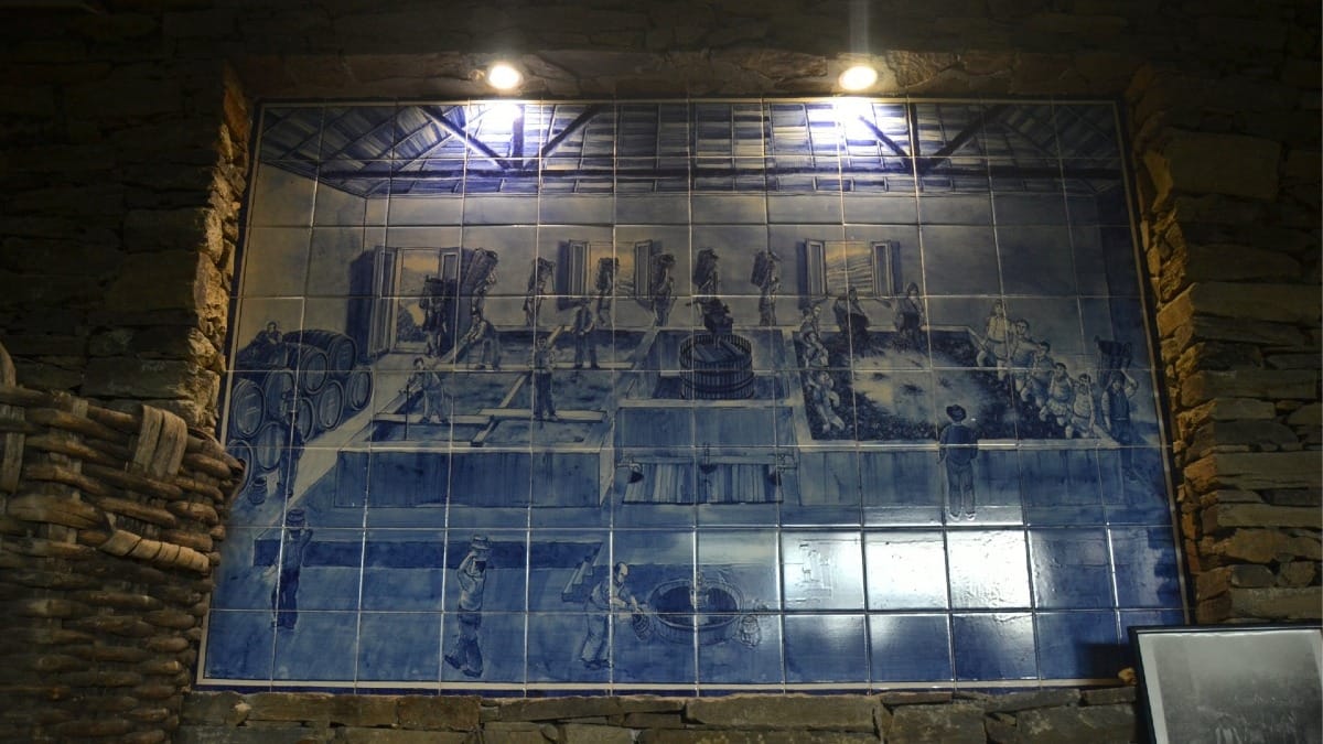Azulejos portugais traditionnels dans une cave familiale de la Vallée du Douro
