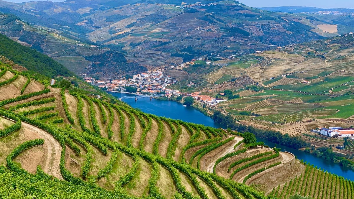 Douro Valley view over vineyard terraces and the river, a UNESCO World Heritage Site, during a guided tour with Cooltour Oporto
