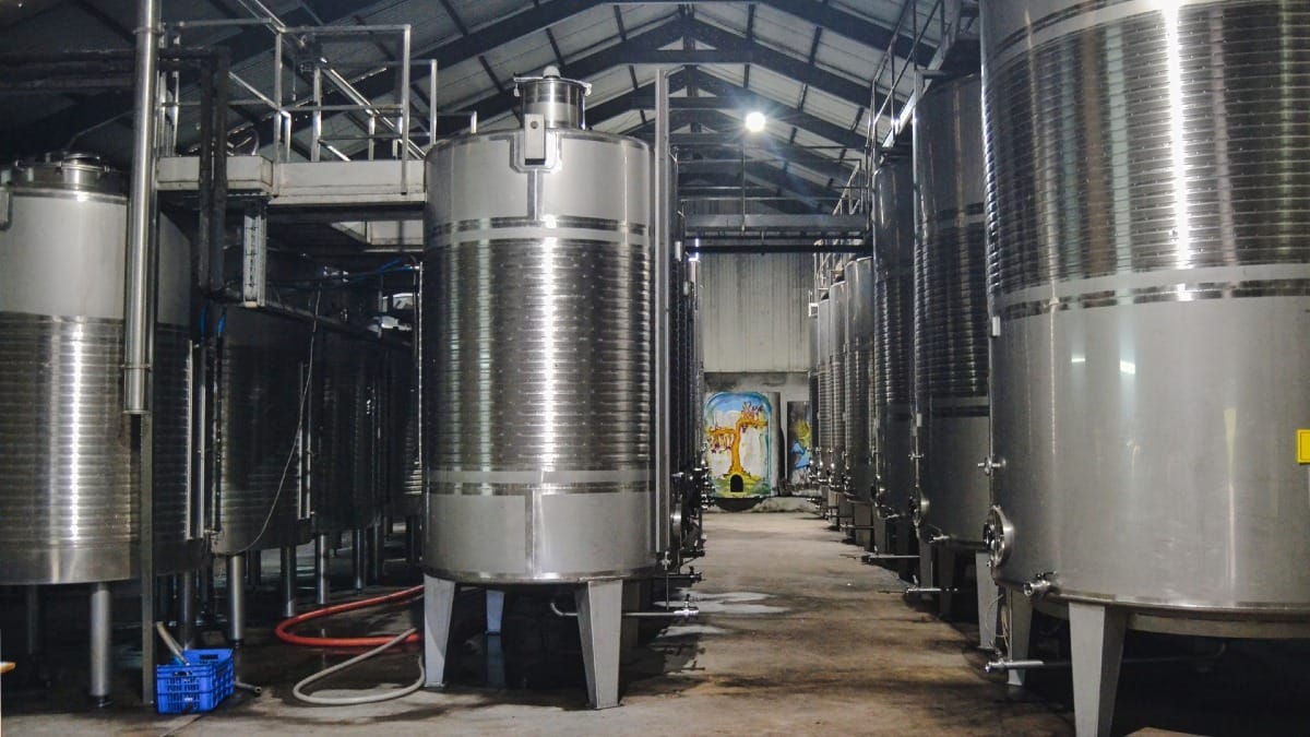 Cuves de production et de stockage du Vinho Verde | Cooltour Oporto