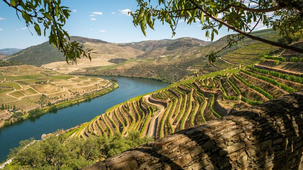 Vista panorámica del Valle del Duero y su río, Patrimonio Mundial de la UNESCO, durante un tour guiado con Cooltour Oporto