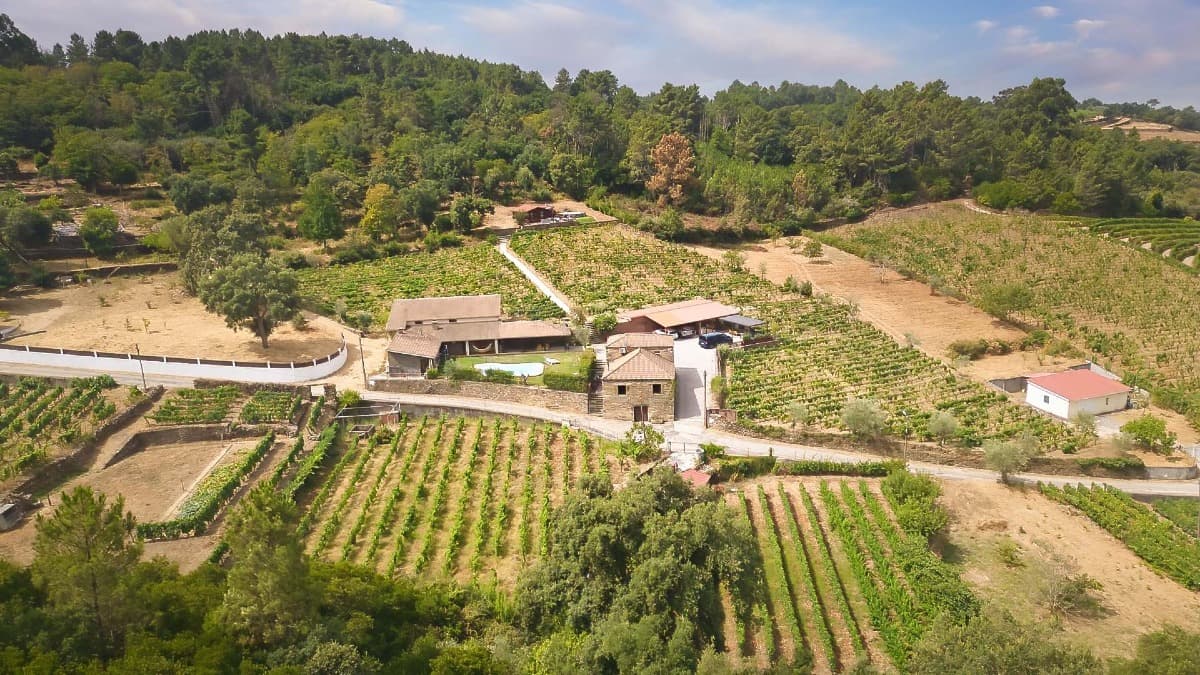 Private Douro Valley Tour for True Wine Lovers