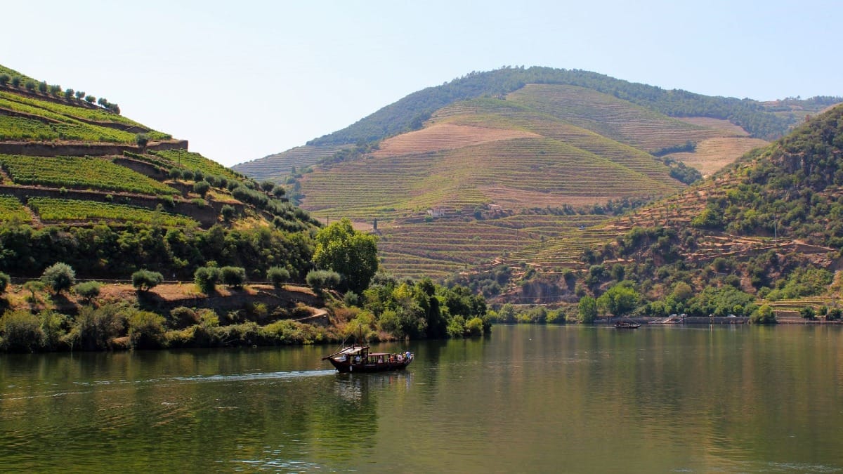 Cruzeiro pelo Rio Douro no coração do Vale do Douro durante um tour guiado de vinhos a partir do Porto com a Cooltour Oporto