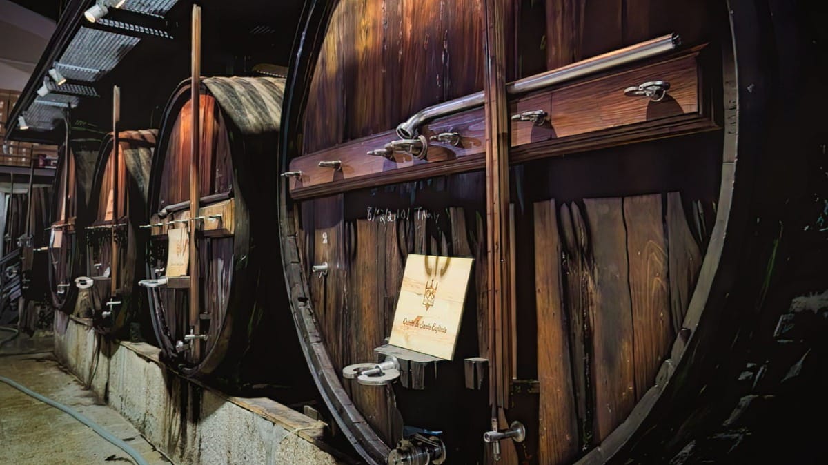 Barriles antiguos de Vino de Oporto envejeciendo en una bodega familiar durante un tour guiado por el Valle del Duero con Cooltour Oporto