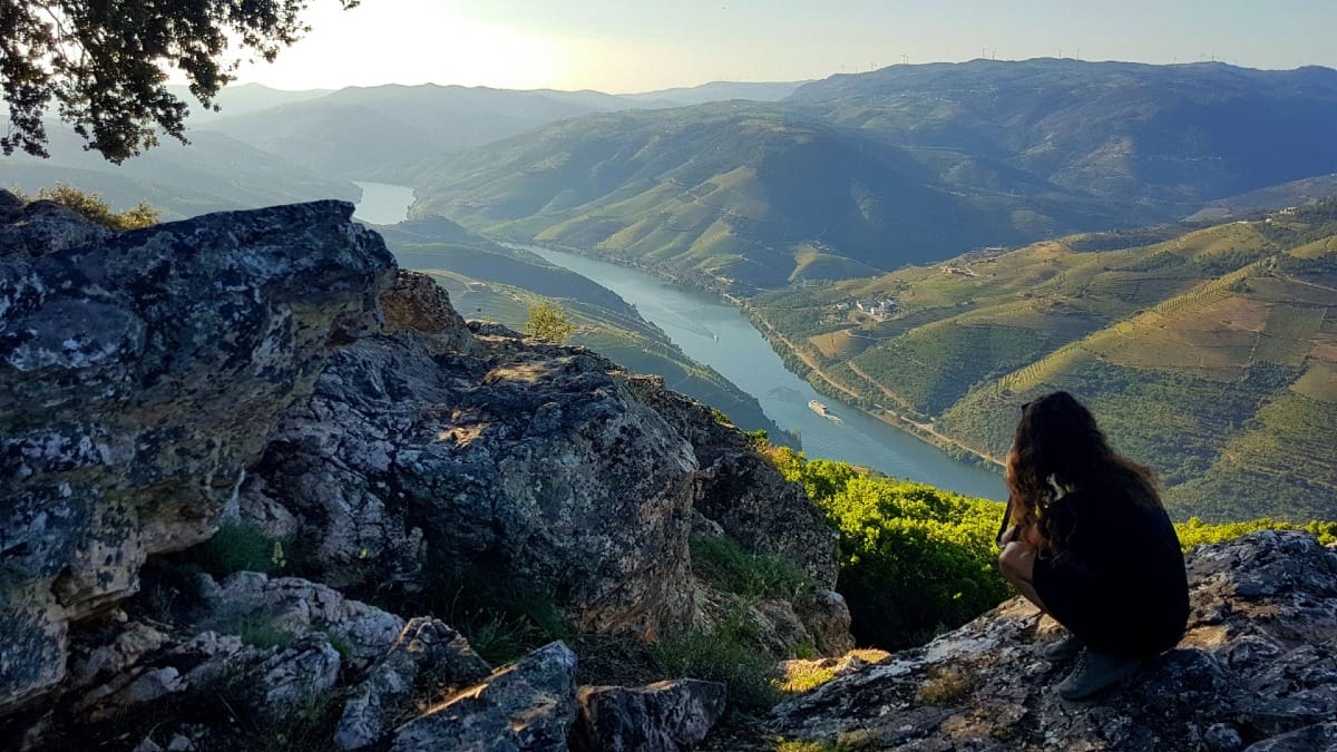 Mirador panorámico sobre el Valle del Duero y el Río Duero durante un tour guiado por el Valle del Duero desde Oporto con Cooltour Oporto