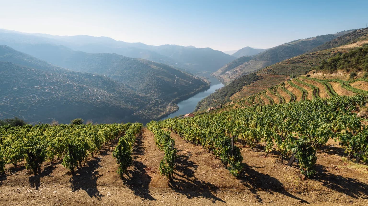 ClaS douro valley best tours