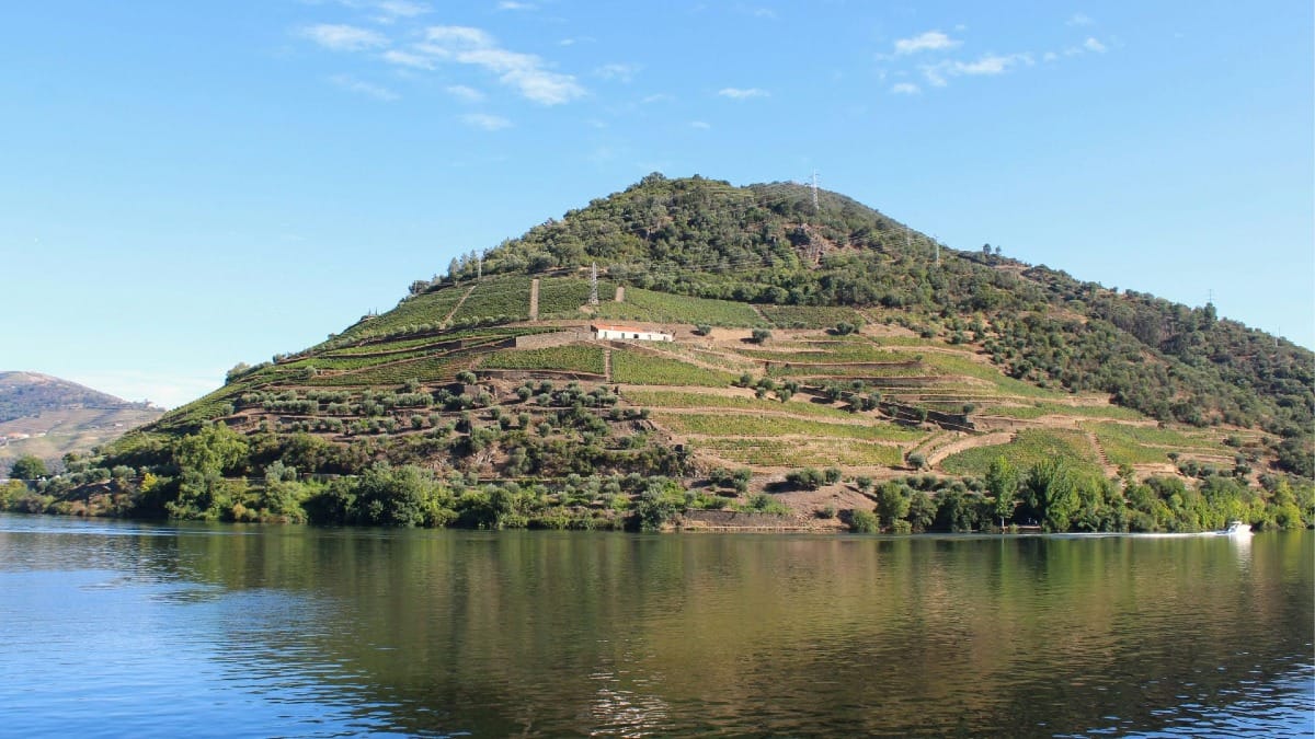 Perspective fluviale de la vallée du Douro, Portugal