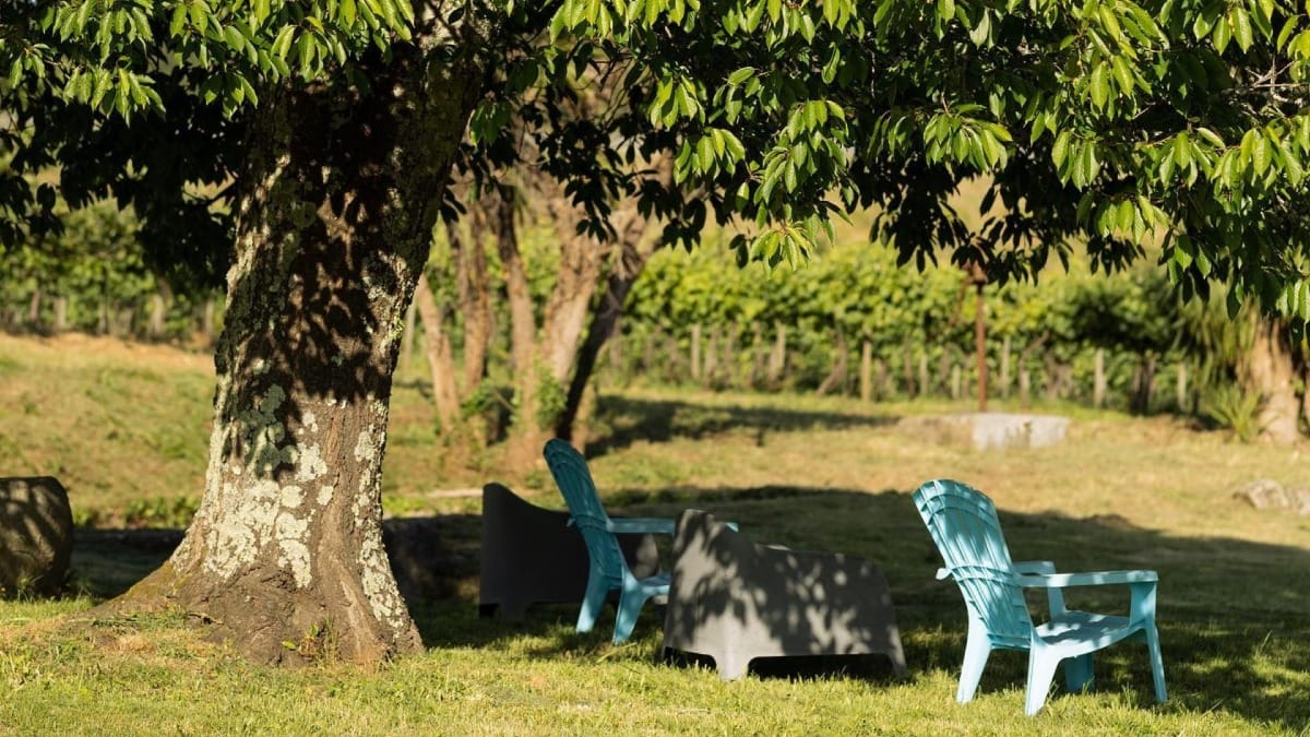 Zona de lazer debaixo de uma árvore numa das Quintas da Região dos Vinhos Verdes | Cooltour Oporto