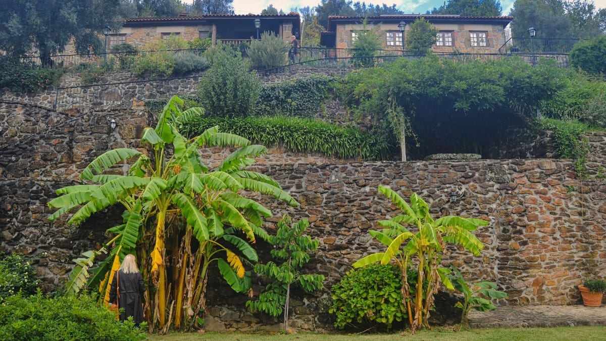 Singular vista de uma quinta de vinho verde com as suas área em socalcos e jardins | Cooltour Oporto
