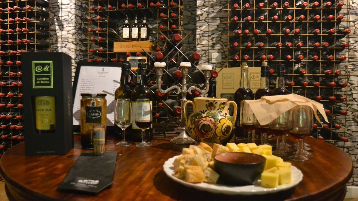 Vintage Port wine tasting during a Cooltour Oporto Douro Valley tour