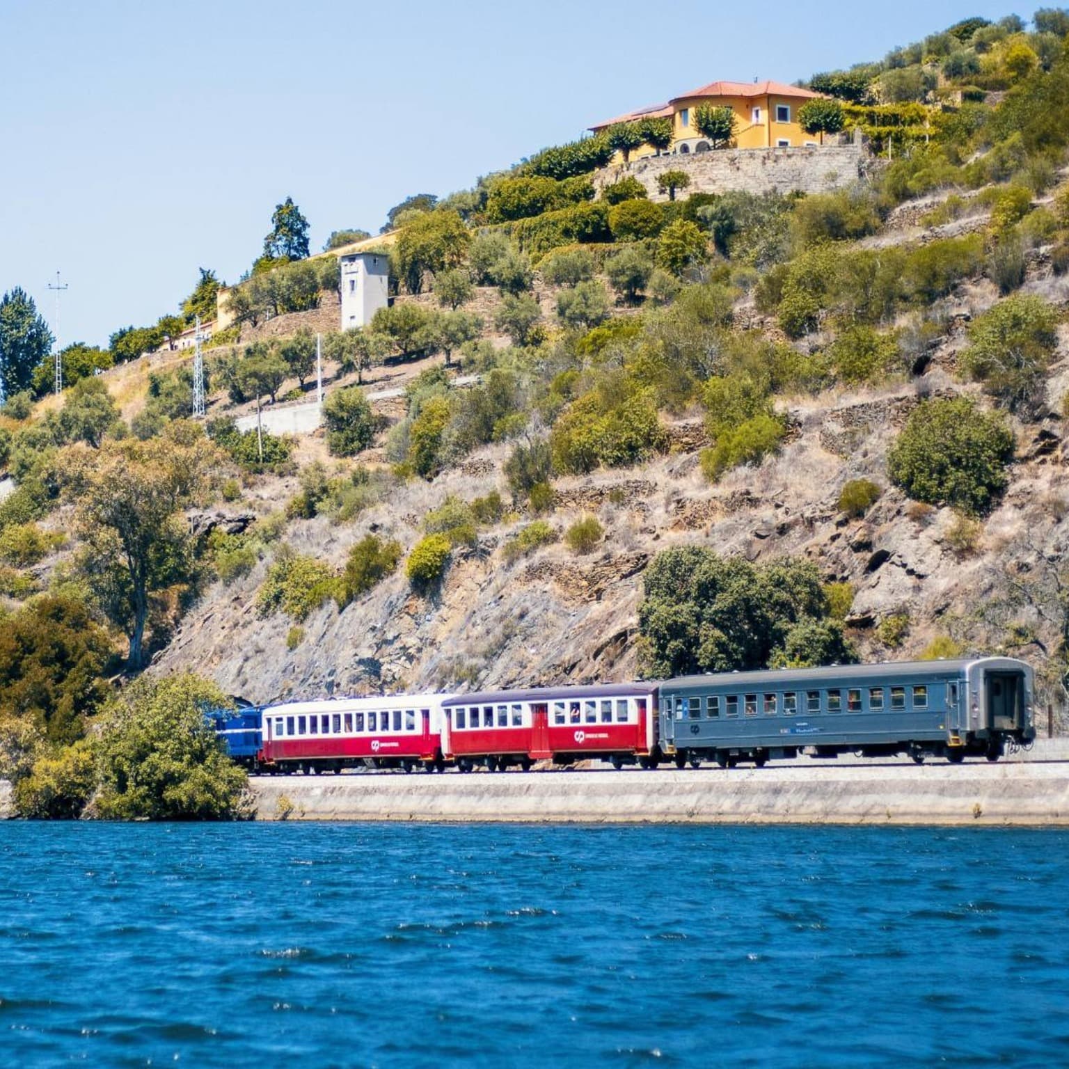 Valle del Duero desde Oporto: ¿Qué es Mejor – Tour o Tren?