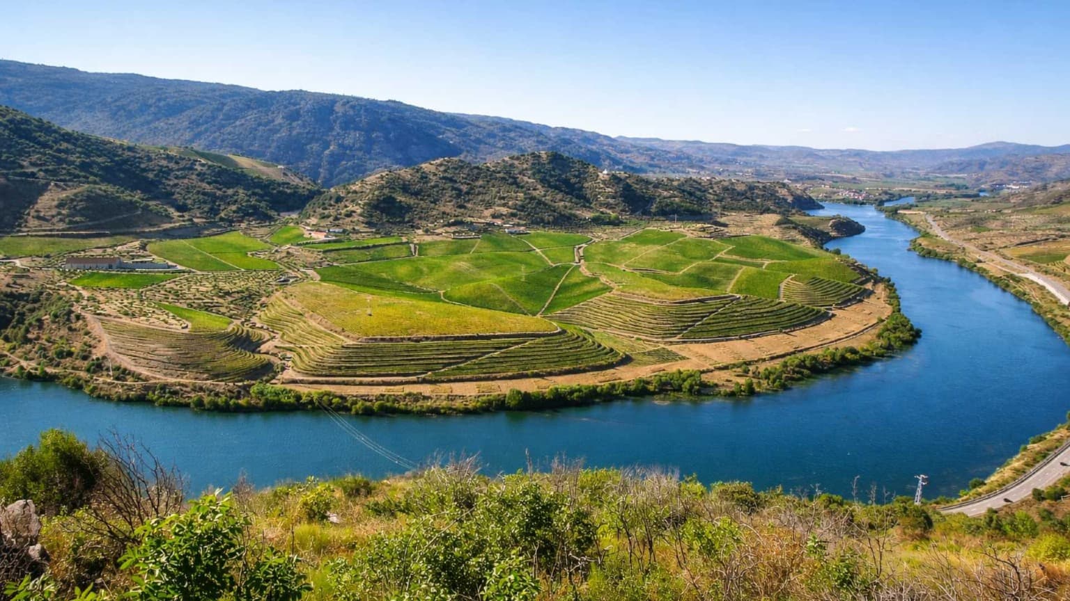 Quinta do Vale Meão vineyard estate in the Douro Valley, historically owned by Dona Antónia Adelaide Ferreira, overlooking the Douro River