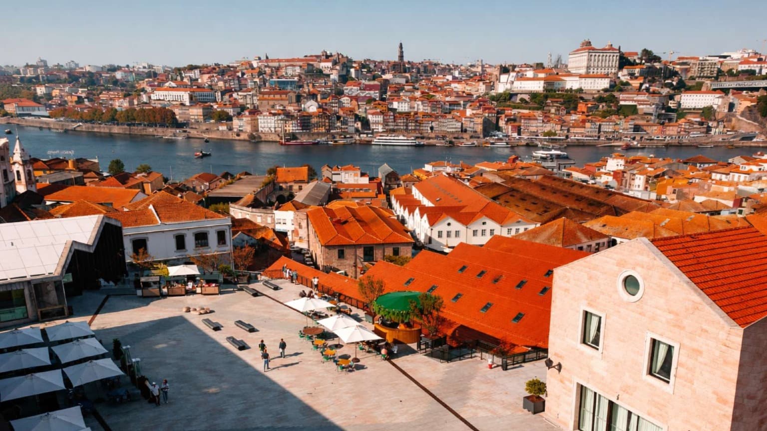 WOW – World of Wine