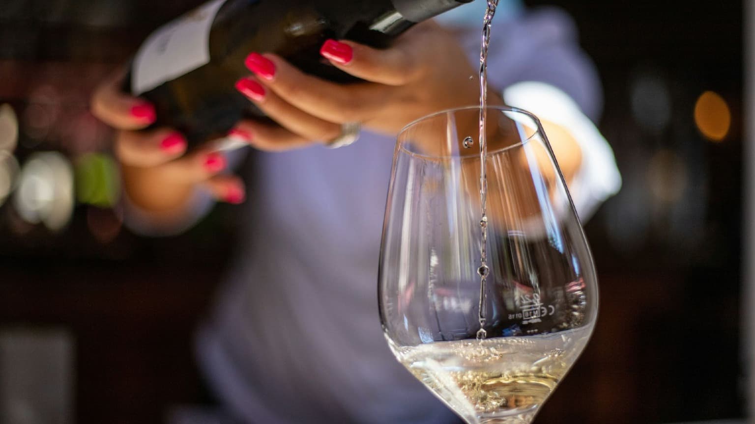 Imagem da degustação de Vinho na Essência do Vinho 2025